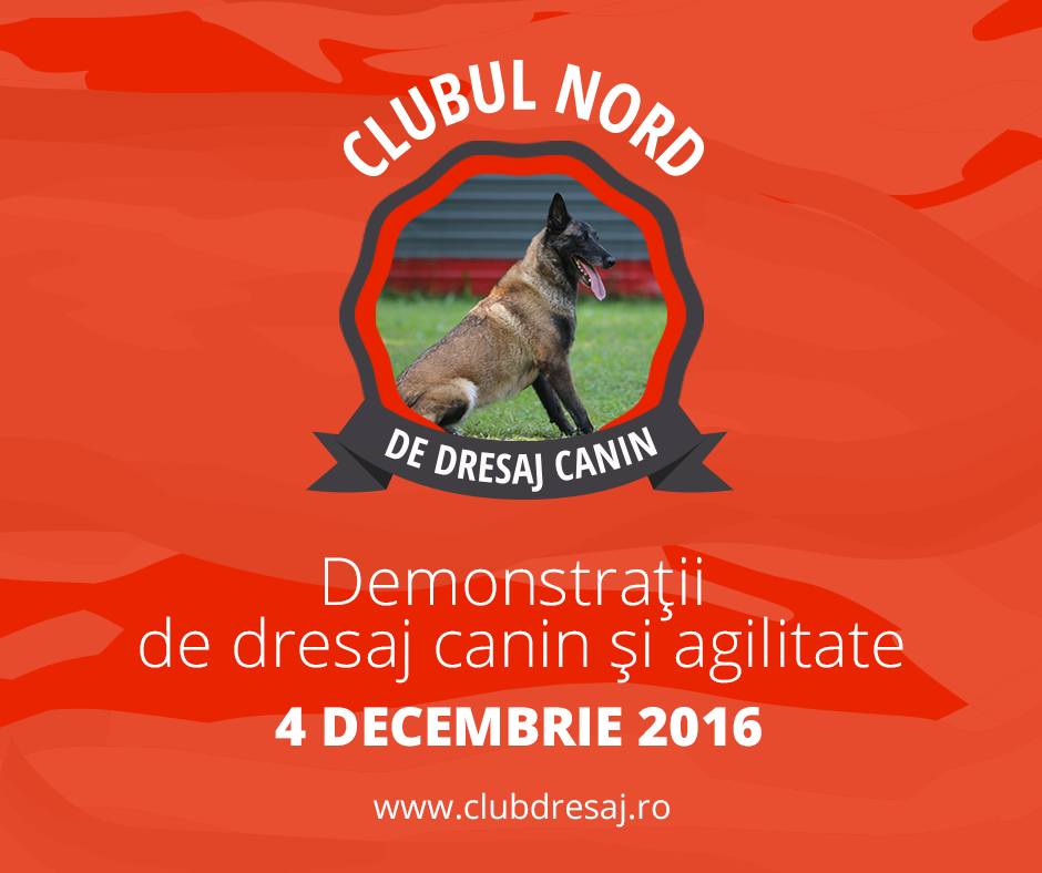 Oradea: Club Nord Dresaj Canin invita iubitorii de animalute la evenimentul de lansare oficiala 